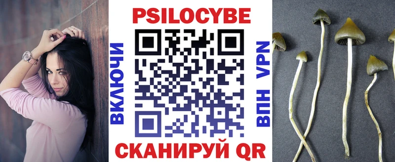 Псилоцибиновые грибы Psilocybine cubensis  Буйнакск 