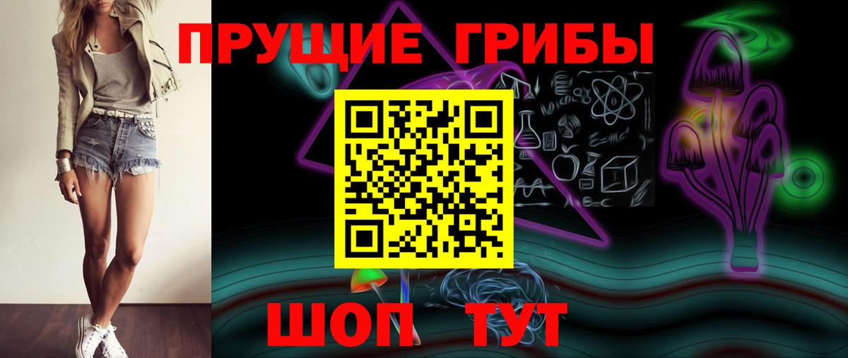 Буйнакск  Псилоцибиновые грибы MAGIC MUSHROOMS  Вход с VPN 
